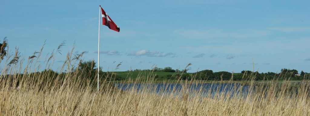 Dannebrog på flagstang ved vandet bag siv og rør under blå himmel i roligt dansk landskab.